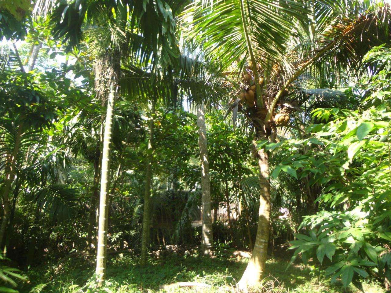 The Green Station Hotel Dikwella Luaran gambar