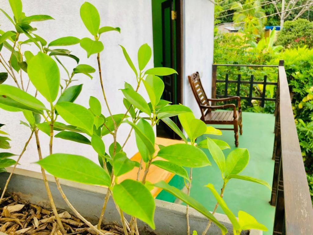 The Green Station Hotel Dikwella Luaran gambar